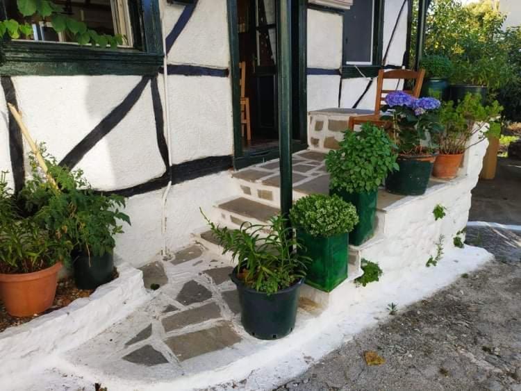 Lefkada Villas Panoramic Katouna Exterior foto